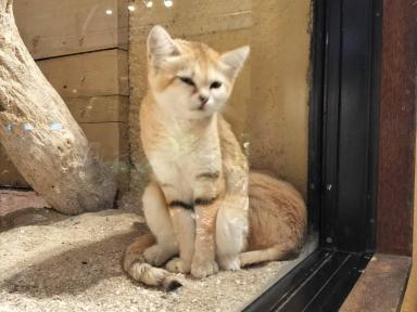 ネオパークオキナワに行ってきました